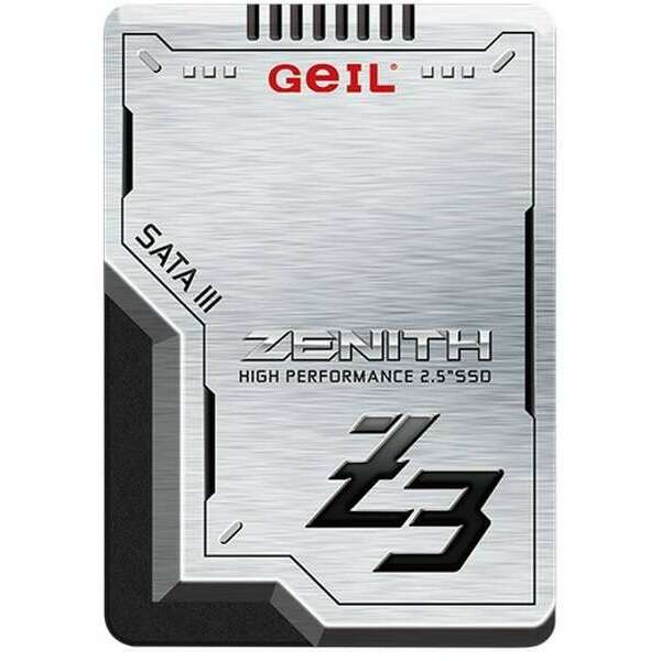 GEIL 128GB 2.5