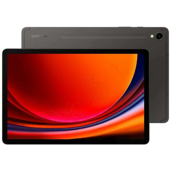 SAMSUNG Galaxy Tab S9 5G 8GB/128GB Gray SM-X716BZAAEUC