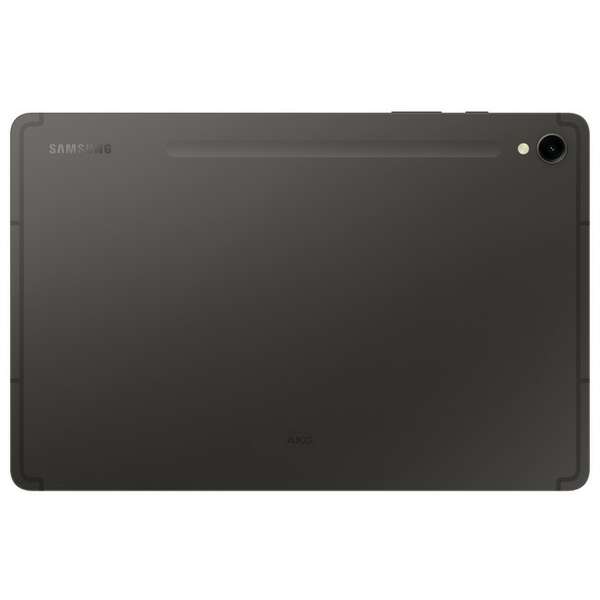 SAMSUNG Galaxy Tab S9 5G 8GB/128GB Gray SM-X716BZAAEUC