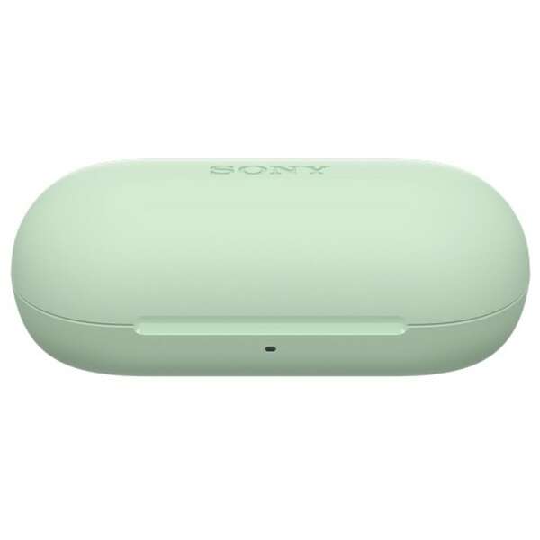 SONY WFC700NG