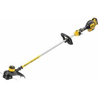 DEWALT DCM561P1