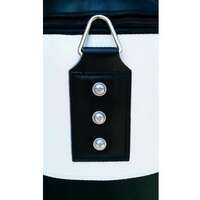RING RS DZ120BW