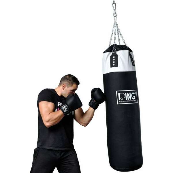 RING RS DZ120BW