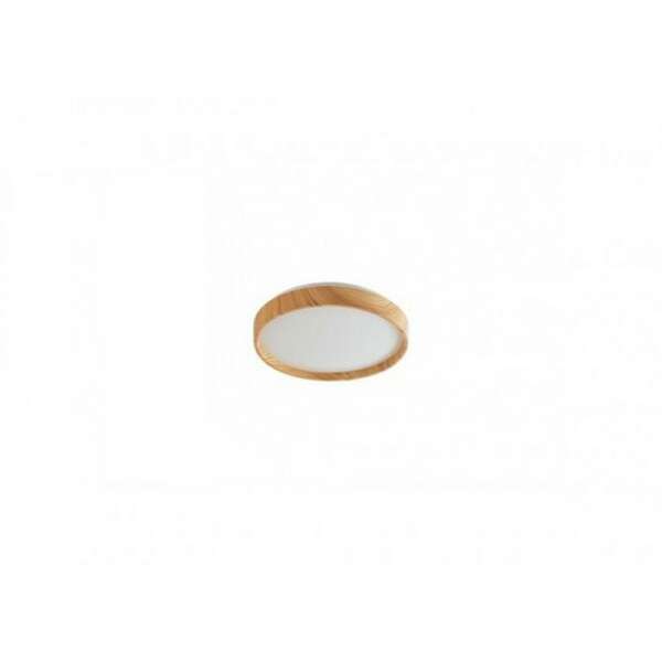 RABALUX Leana2 plafonjera LED12W D26cm