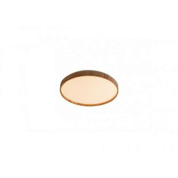 RABALUX Leana2 plafonjera LED24W D38 5cm