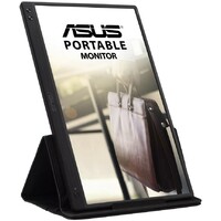 ASUS ZenScreen MB166C
