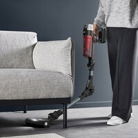 ROWENTA RH2098 X-Force Flex 9.60 