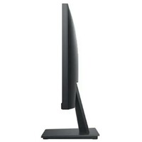DELL 19.5 inch E2020H