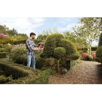 BLACK & DECKER BEHT251-QS
