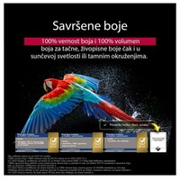 LG OLED55B53LA.AEU