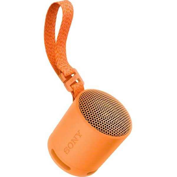 SONY SRSXB100D.CE7