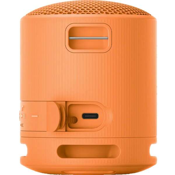SONY SRSXB100D.CE7