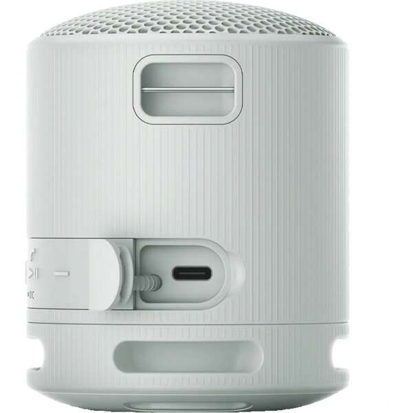 SONY SRSXB100H.CE7