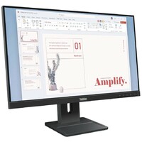 LENOVO ThinkVision E24-40