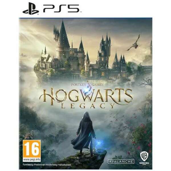 SONY PS5 Hogwarts Legacy