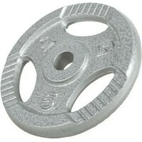 GORILLA SPORTS Teg od livenog gvozdja 5 kg (30 mm u sivoj boji)