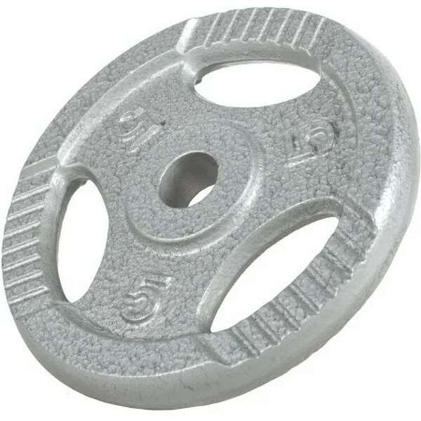 GORILLA SPORTS Teg od livenog gvozdja 5 kg (30 mm u sivoj boji)