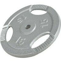 GORILLA SPORTS Teg od livenog gvozdja 15 kg (30 mm u sivoj boji)