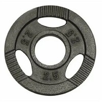 GORILLA SPORTS Teg od livenog gvozdja 2,5 kg (50 mm u sivoj boji)