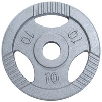 GORILLA SPORTS Teg od livenog gvozdja 10 kg (50 mm u sivoj boji)