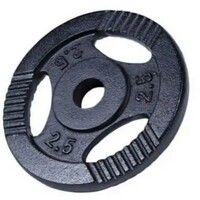 GORILLA SPORTS Teg od livenog gvozdja 2,5 kg (30 mm u crnoj boji)