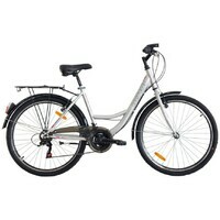 ULTRA 26 ULTRA TONUS 2024 / Silver 460mm