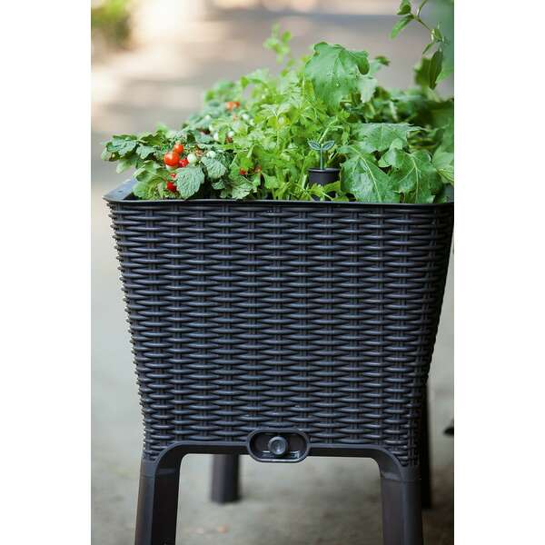 KETER Easy grow 120L grafit