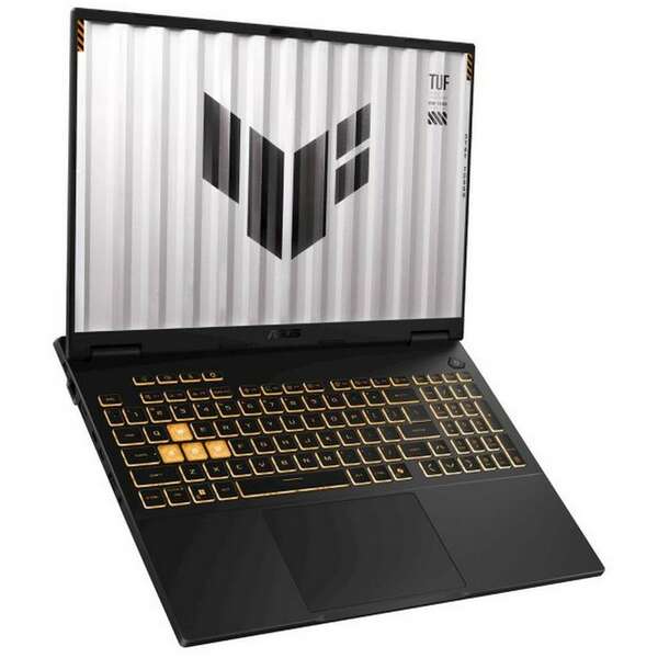 ASUS TUF Gaming F16 FX608JMR-RV003, 16