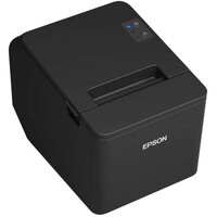 EPSON TM-T20IV-101