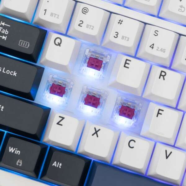 WHITE SHARK Premium GK 007251 EXCALIBUR US, White Keyboard