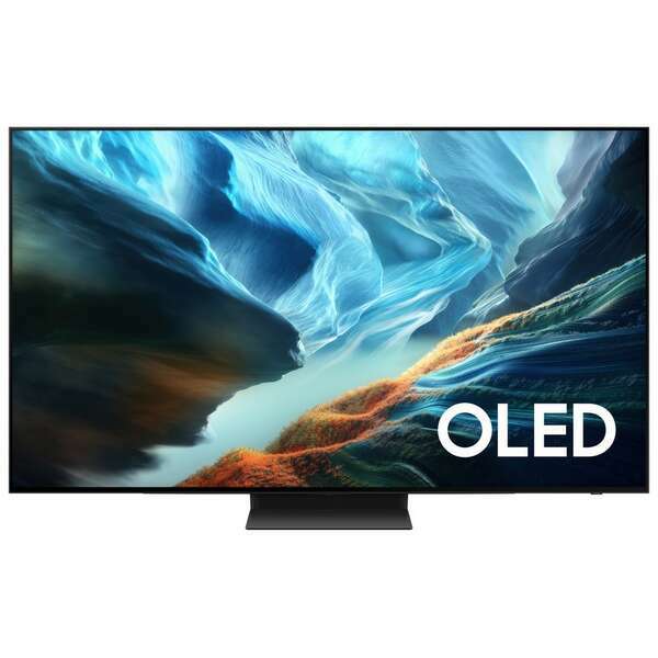 SAMSUNG QE55S90HAEXXH