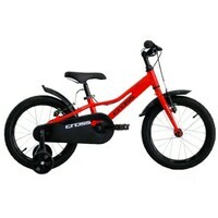 16'' CROSS DAISY 2026 Red