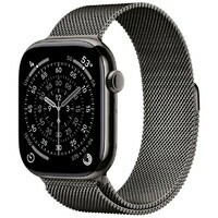 APPLE Watch S11 Cellular 42mm Slate Titanium Case with Slate Milanese Loop mf8u4rk / a