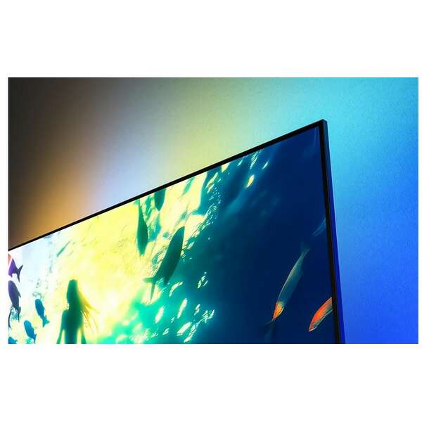 PHILIPS 55PUS8010/10