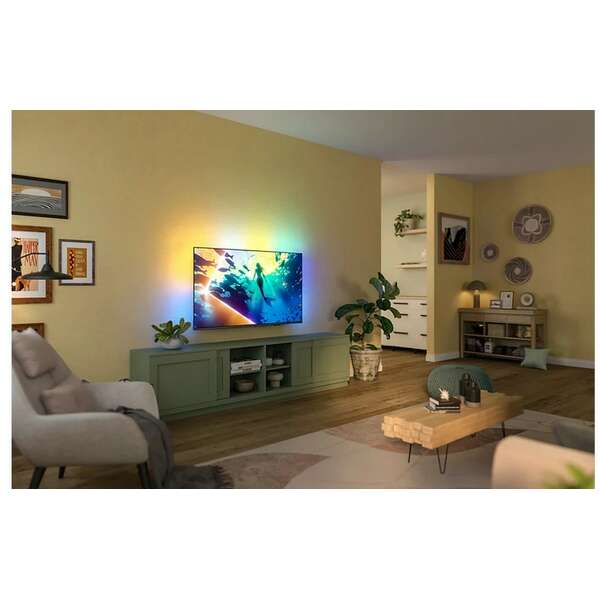 PHILIPS 55PUS8010/10