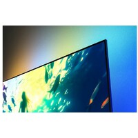 PHILIPS 65PUS8010/10