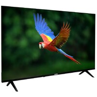 VESA 43A1FHD