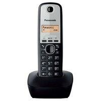 PANASONIC KX-TG1911FXG