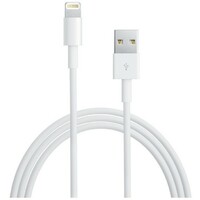 APPLE Lightning to USB 2m md819zm / a