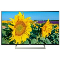 SONY KD55XF8096BAEP