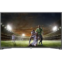 VIVAX 49S55DT2S2