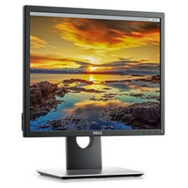 DELL P1917S