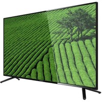 GRUNDIG 43 VLE 4820