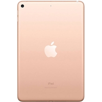 Apple iPad mini 5 Cellular 256GB - Gold muxe2hc/a