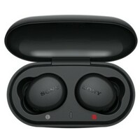 SONY WFXB700B.CE7