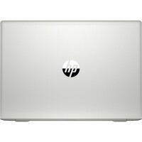 HP ProBook 450 G7 9HP71EA