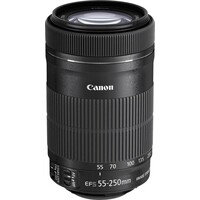 Canon objektiv EF-S 55-250mm F4-5.6 IS STM (crop)