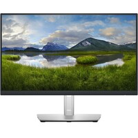 DELL P2222H Professional IPS