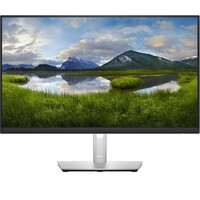 DELL P2422H Professional IPS 