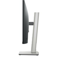 DELL P2422H Professional IPS